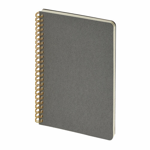 Бизнес тетрадь на гребне, А5, Bruno Visconti, 