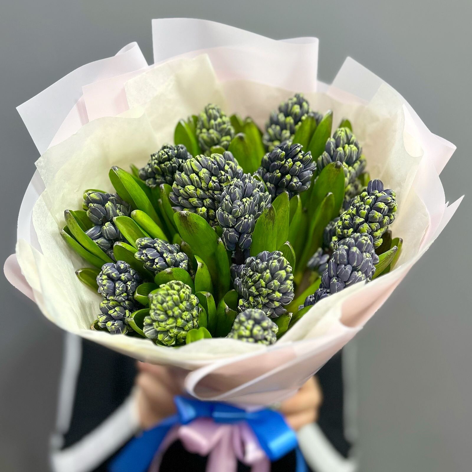 Букет из ароматных синих гиацинтов в матовой пленке ( 15 шт )