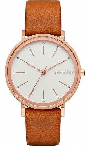 Наручные часы SKAGEN Leather SKW2488