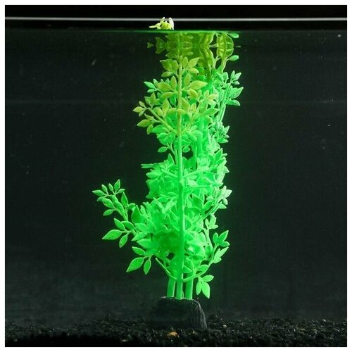Растение силиконовое аквариумное, светящееся в темноте, 8 х 24 см, зелёное, 1 шт.