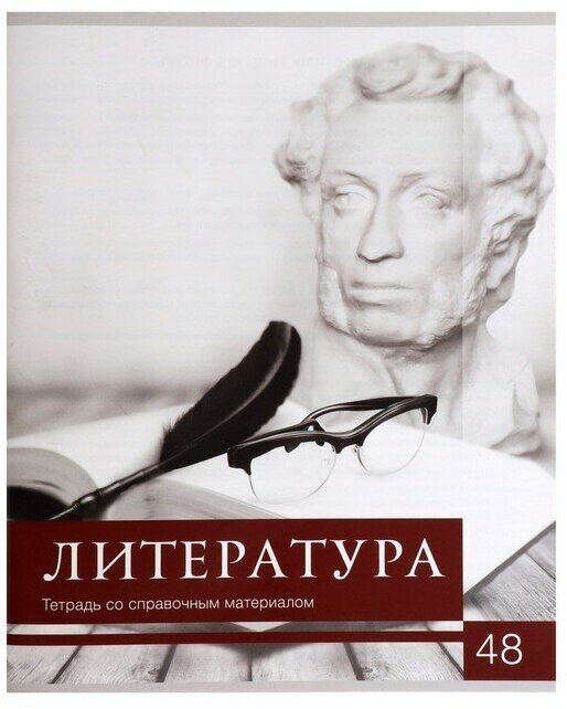 Тетрадь предметная "Чёрное-белое" 48 листов в линию "Литература" со справочным материалом, обложка мелованная бумага, блок №2, белизна 75% (серые листы)