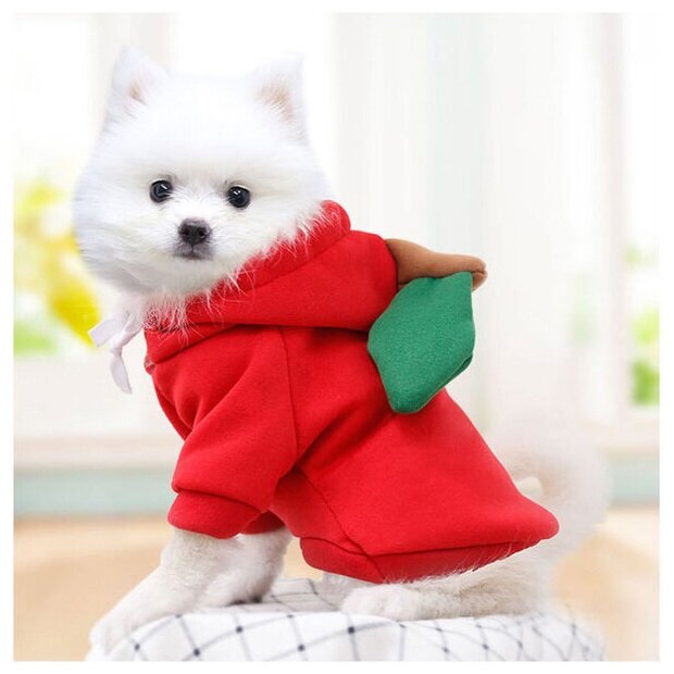 Кофта-толстовка для собаки "Wonderful style-Яблоко" с капюшоном, размер XL (56*40см) Ultramarine - фотография № 6