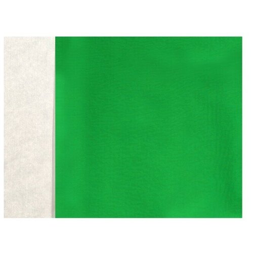 Поталь в книжке 8 х 8,5 см, 100 листов, фольгированная зелёная