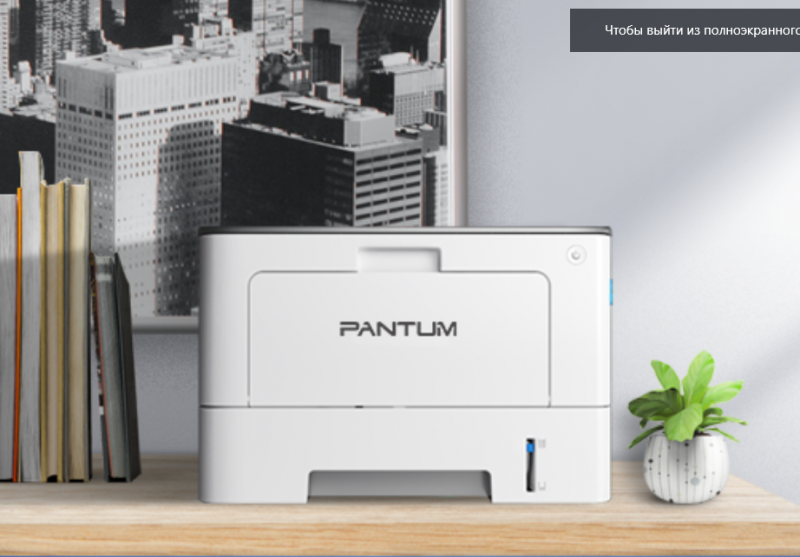 Лазерный принтер Pantum - фото №7