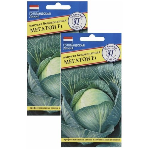 Семена Маркет Капуста белокочанная мегатон F1 2 пакета по 10шт