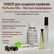Набор для создания духов Perfume Mix - Листья черной смородины 10 мл / Основа для духов и Парфюмерная отдушка 5 мл (France)