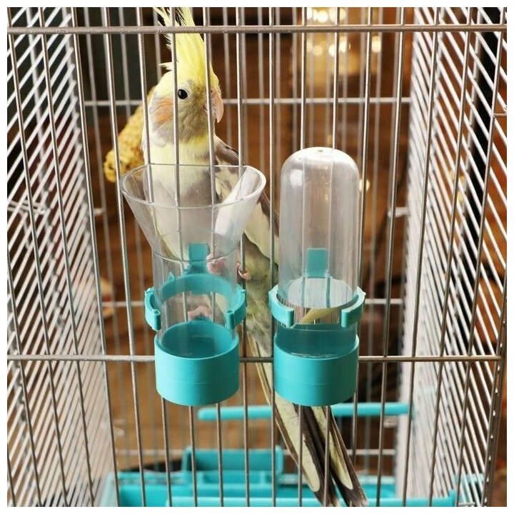Клетка для птиц "Пижон" №102, хром, укомплектованная, 41х30х76 см, бирюзовая - фотография № 9