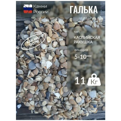 Галька для аквариума Каспийская ракушка (5-10мм, 11кг)