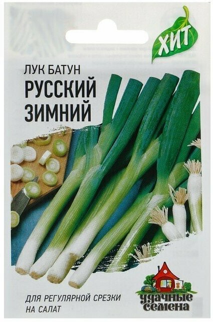 Семена Лук батун Русский зимний, 0,5 г серия ХИТ х3, 5 пачек