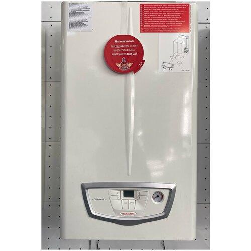 Котел газовый настенный Immergas EOLO Mythos 24 4R 6900000₽
