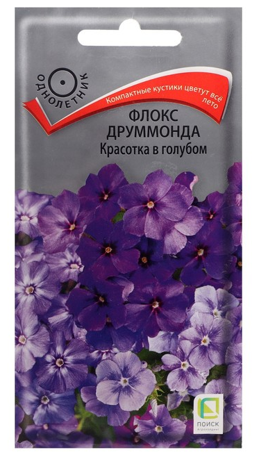 Набор семян ПОИСК Флокс друммонда Красотка в голубом 0.1 г