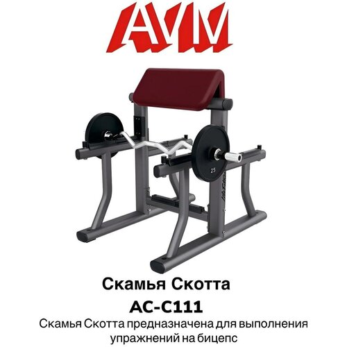 Профессиональный силовой тренажер для зала скамья Скотта AVM AC-C111 профессиональный силовой тренажер для зала олимпийская скамья горизонтальная avm a a037