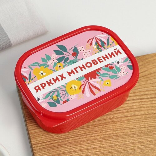 Ланч-бокс прямоугольный Ярких мгновений 500 мл 354₽