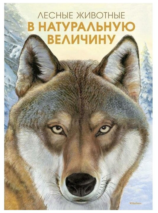 Махаон Книга Лесные жители в натуральную величину