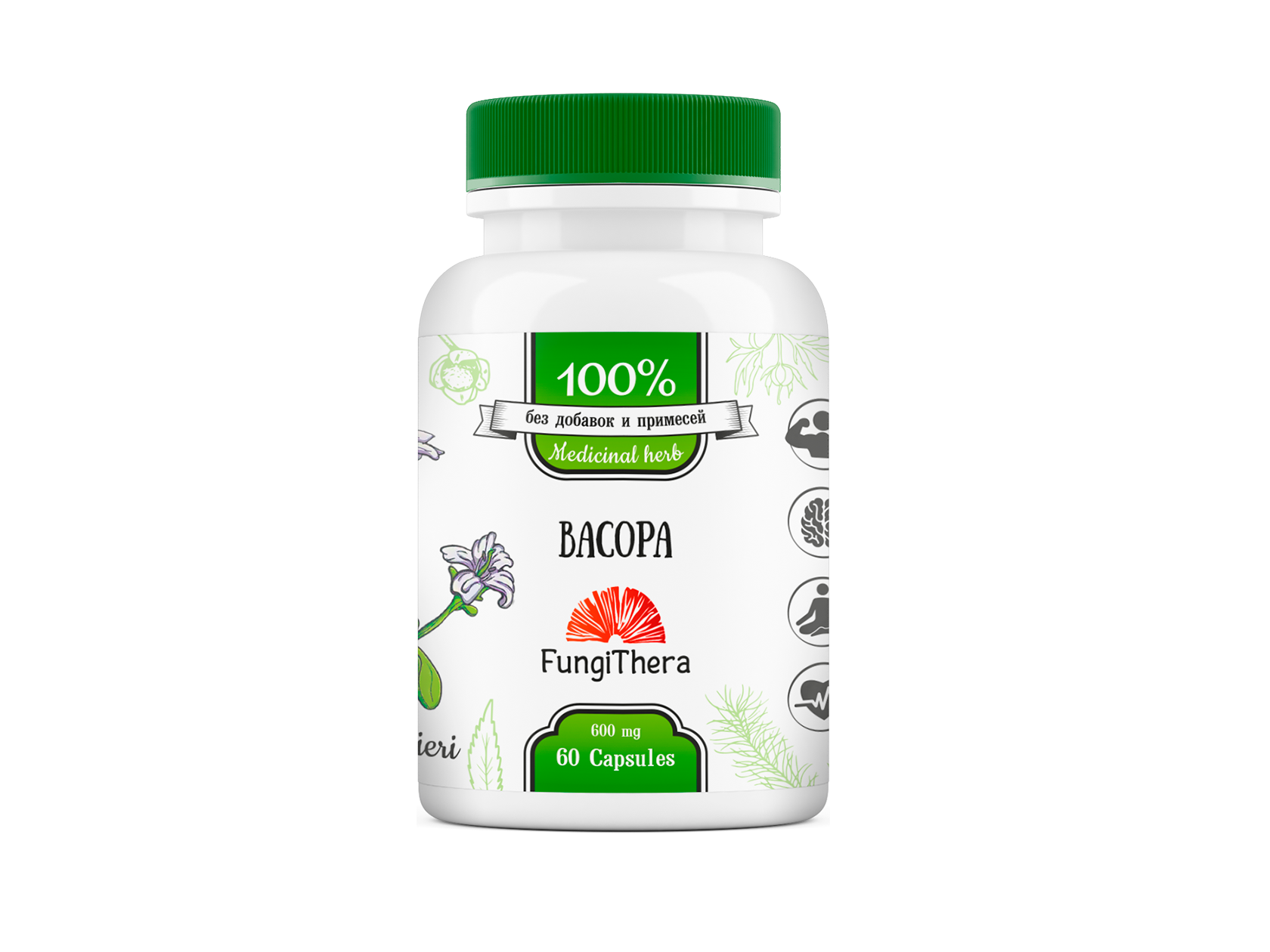 Картинки Бакопа Монье экстракт/ Bacopa 60 капсул/ FungiThera/ Ноотроп