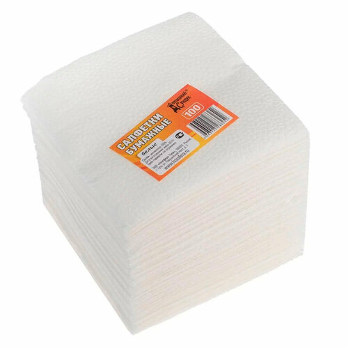 Салфетки бумажные домашний сундук ДС-12 100шт белые 99₽