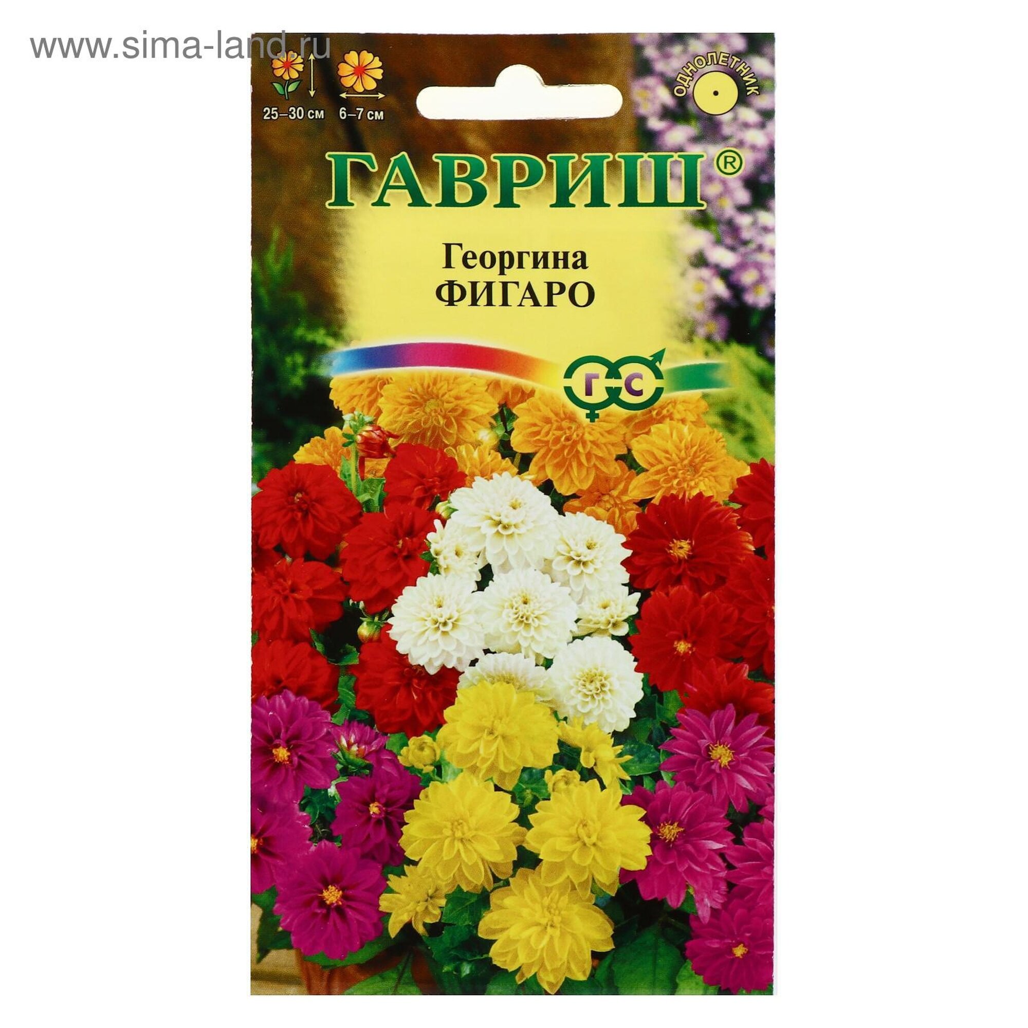 Семена цветов Гавриш  Фигаро   георгины  однолетние  цветной пакет  7 шт