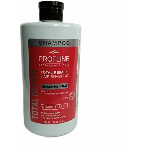 Шампунь для сухих и поврежденных волос женский PROFLINE professional care 650 мл