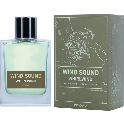 Brocard Wind Sound Whirlwind туалетная вода 100 мл для мужчин brocard wind sound whirlwind муж 100 мл edt