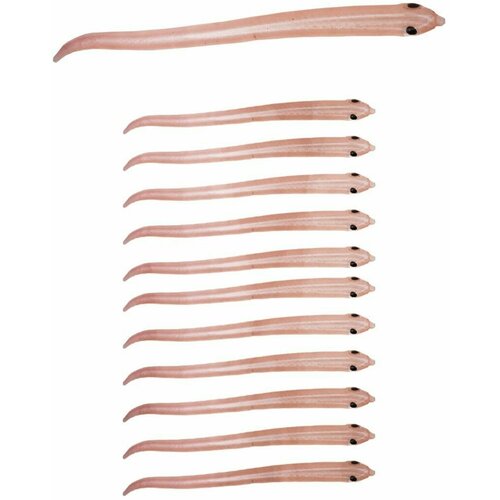 Силиконовые приманки для рыбалки со вкусовым ароматизатором 10 шт 14 см 4 гр 306₽