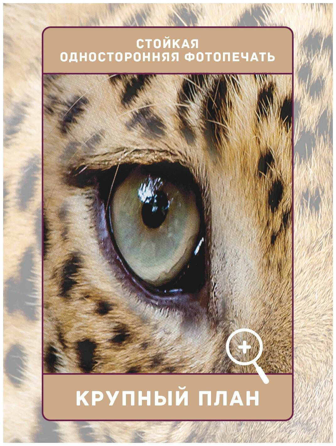 Шторы, фотошторы JoyArty "Мордашка леопарда" из ткани сатен, 2 полотна 145x265 см, шторная лента и крючки - фотография № 3