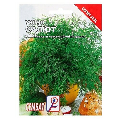 Семена ХХХL Укроп Салют, 10 г 6 упаковок семена хххl укроп салют 10 г 2 шт