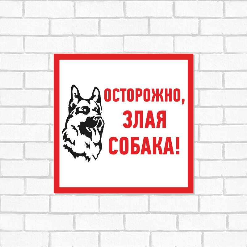 Информационная табличка из ПВХ: информационный знак "Осторожно злая собака" 200х200 мм (1 шт)
