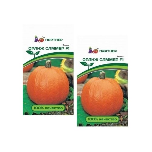 Семена Тыква Оранж саммер F1 /Агрофирма Партнер/ 2 упаковки по 3 шт. семян