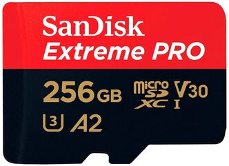 Карта памяти SanDisk microSDXC 256 ГБ Class 10, V30, A2, UHS-I, R/W 170/90 МБ/с, адаптер на SD, 1 шт., разноцветный