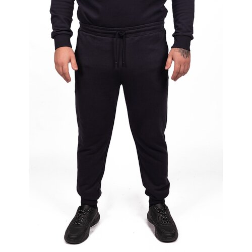 фото Pal zileri брюки синие спортивные (50)