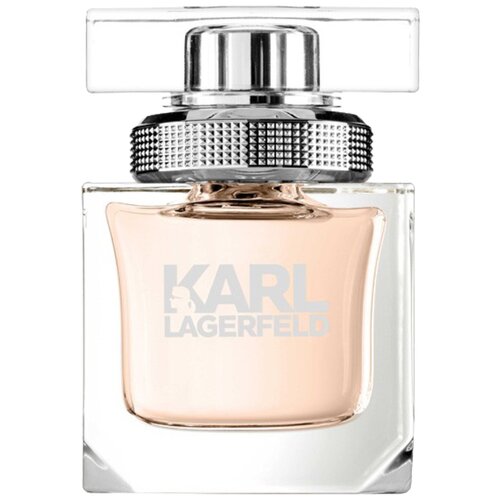 Karl Lagerfeld парфюмерная вода Karl Lagerfeld for Her, 45 мл, 280 г духи karl lagerfeld karl lagerfeld for her
