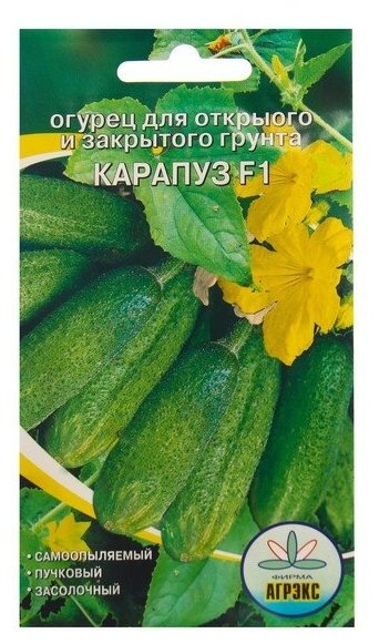 Семена Огурец "Карапуз " 10 шт (комплект из 50 шт)