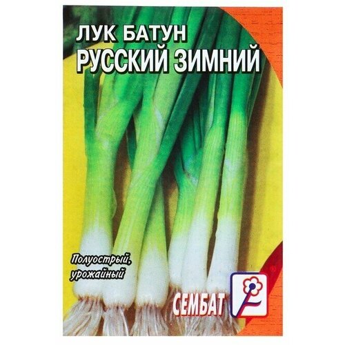 Семена Лук батун Русский зимний, 1 г семена лук русский зимний батун 1 г 3 пачки