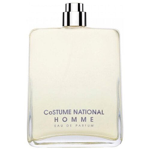 Costume National парфюмерная вода Costume National Homme, 100 мл costume national женская парфюмерия costume national scent gloss костюм националь сцент глосс 100 мл