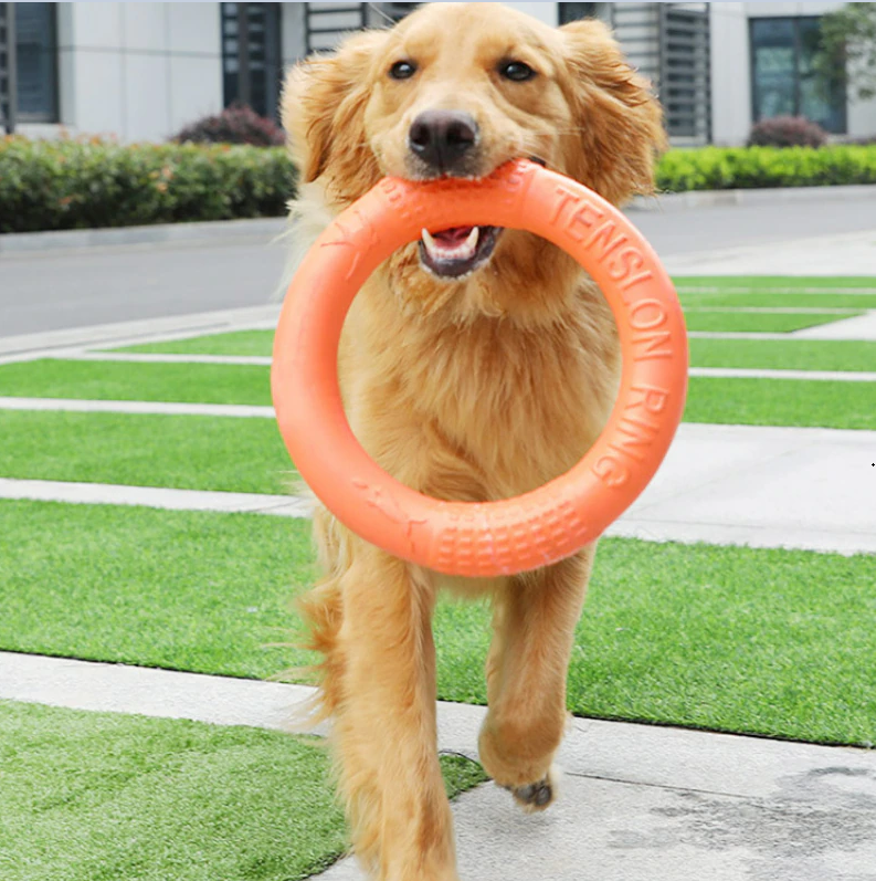 Игрушка для собак кольцо для крупных пород легкое EVA материал, диаметр 27 см, оранжевый - фотография № 4