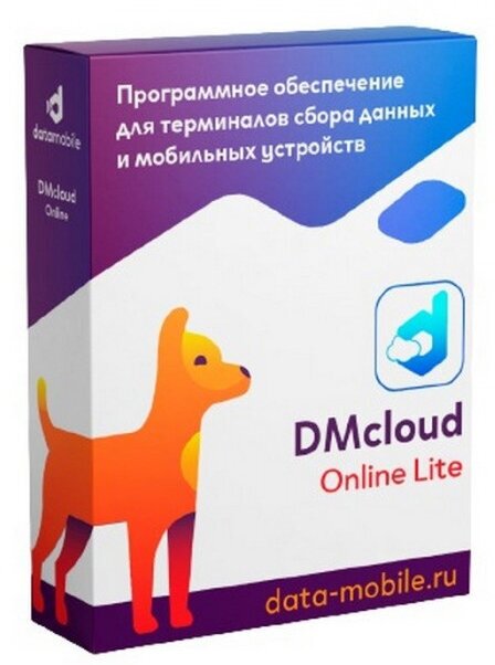 DMcloud: DataMobile Online Lite