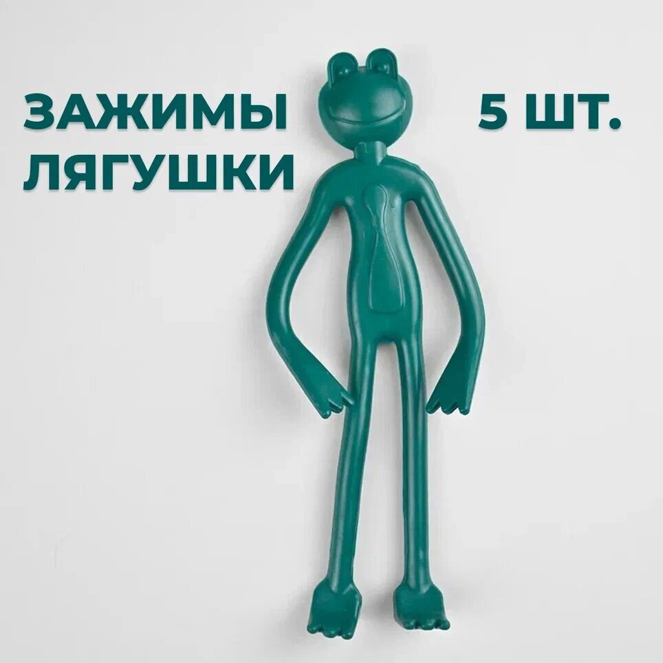 фото Лягушка