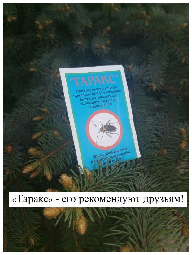 Таракс - средство от мокриц от тараканов от двухвосток. Эффективный препарат для уничтожения бытовых насекомых - муравьёв клопов термитов