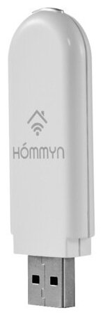 Модуль съемный управляющий Hommyn HDN/WFN-02-01