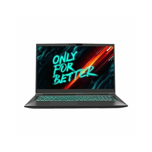 Maibenben X668 [X668QSFELBRE0] i7-12700H/16GB/512GB SSD/17.3 QHD 165Hz 100? GB/NV RTX 3070 8Gb/Linux