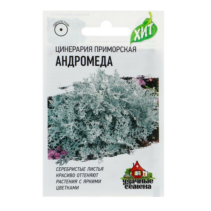 Семена цветов Цинерария приморская "Андромеда", О, 0,05 г серия ХИТ х3, 10 штук