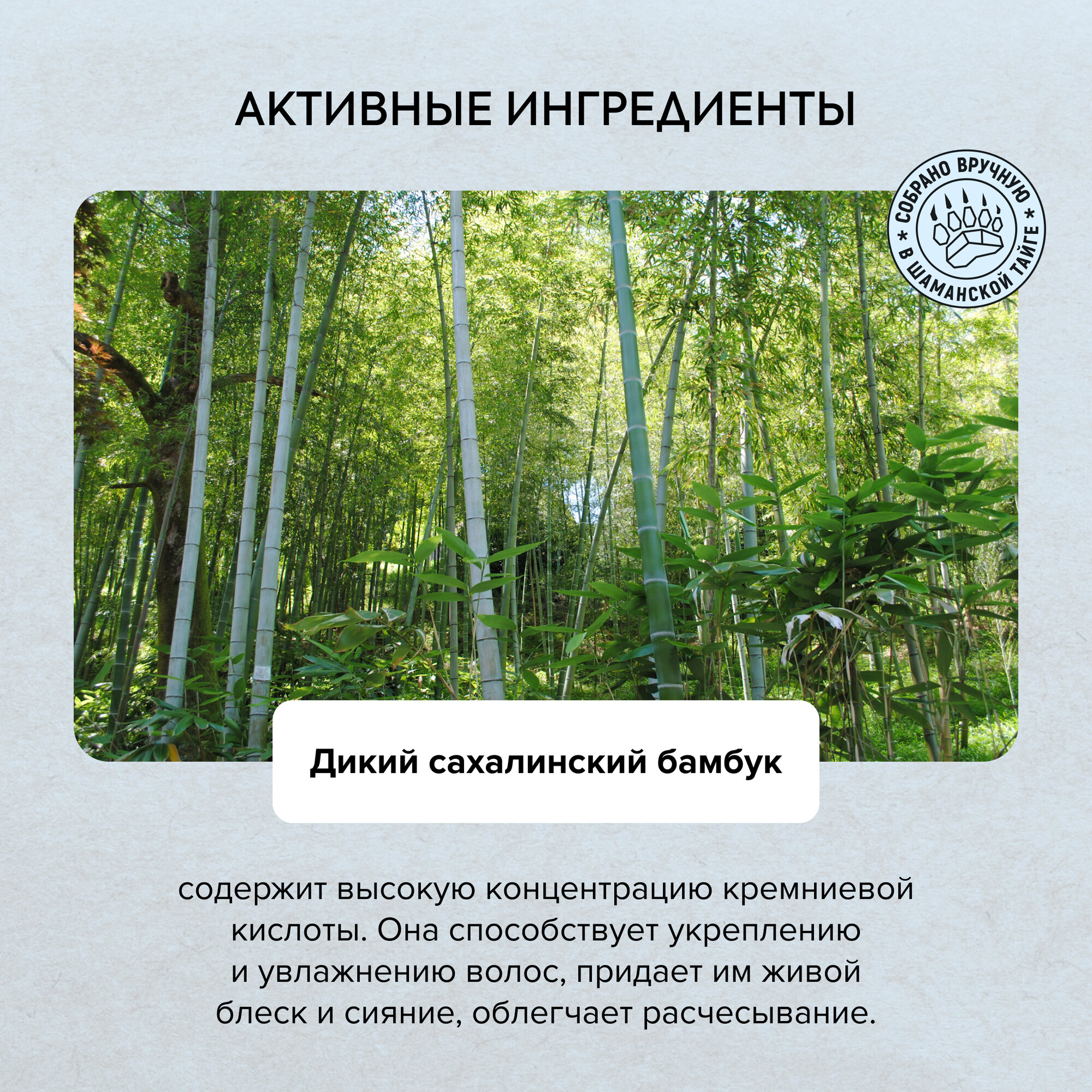 Шампунь Natura Siberica Taiga Siberica «Био. Увлажняющий для сухих волос», 400 мл