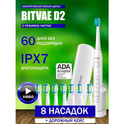 Зубная щётка электрическая Bitvae D2 Daily Toothbrush Футляр подставка 8 насадок колпачок для насадок белая 1890₽