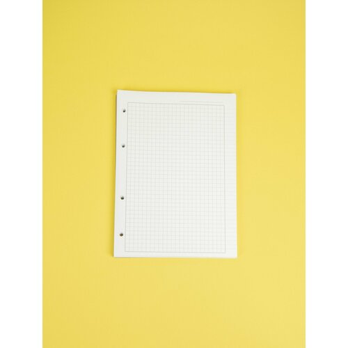 Сменный блок для тетради на кольцах RUMBA А5, 80 л, в клетку