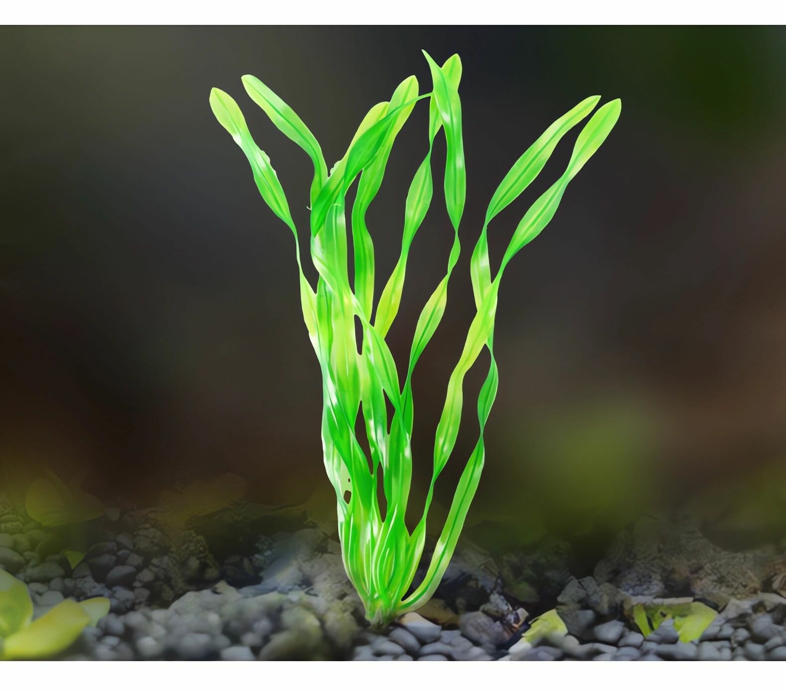 Декор для аквариума / водоросли искусственные в аквариум 2шт. — фото 1