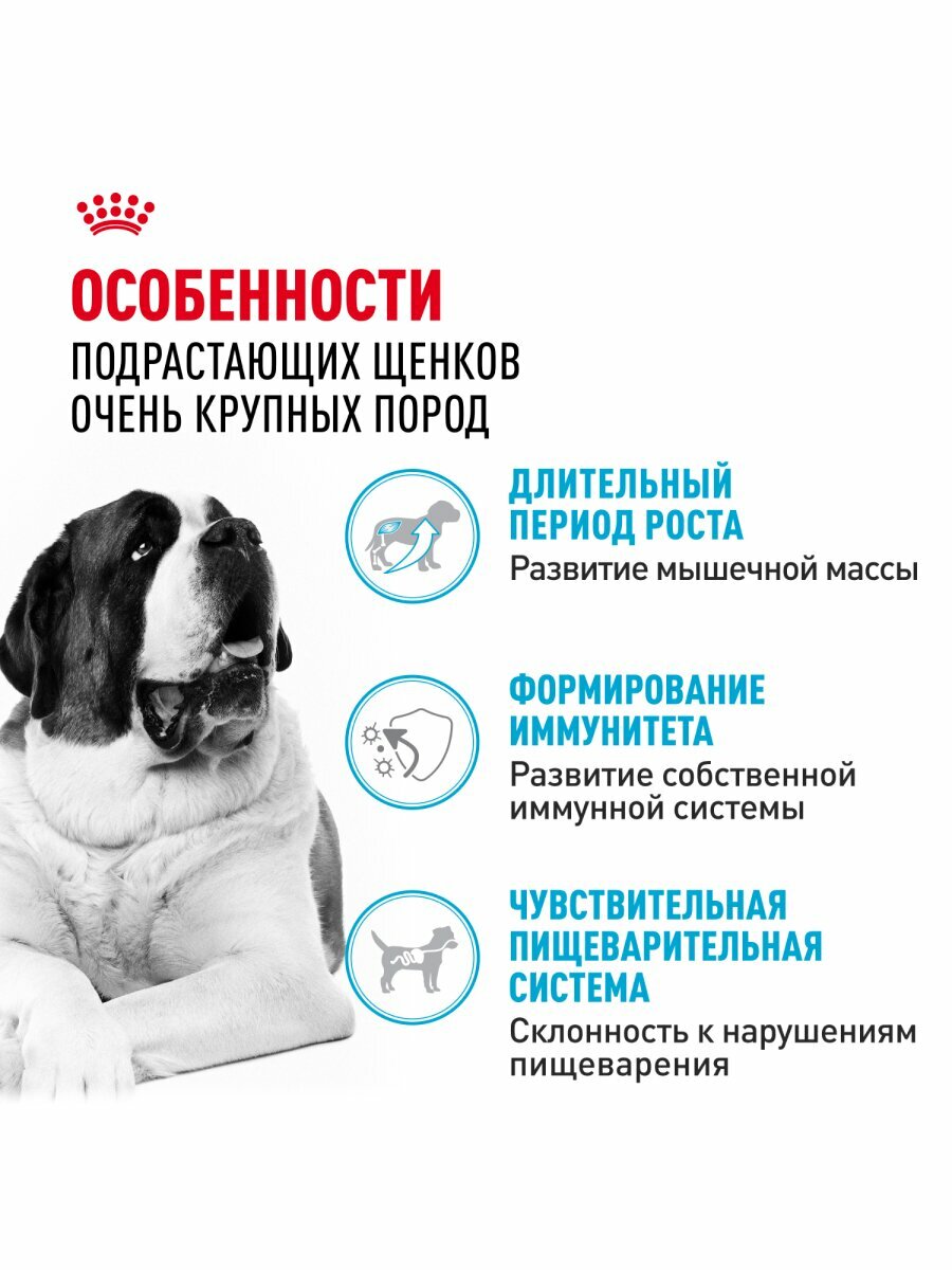 Сухой корм Royal Canin Giant Junior для щенков от 8 месяцев гигантских пород Птица, 15 кг. — фото 1