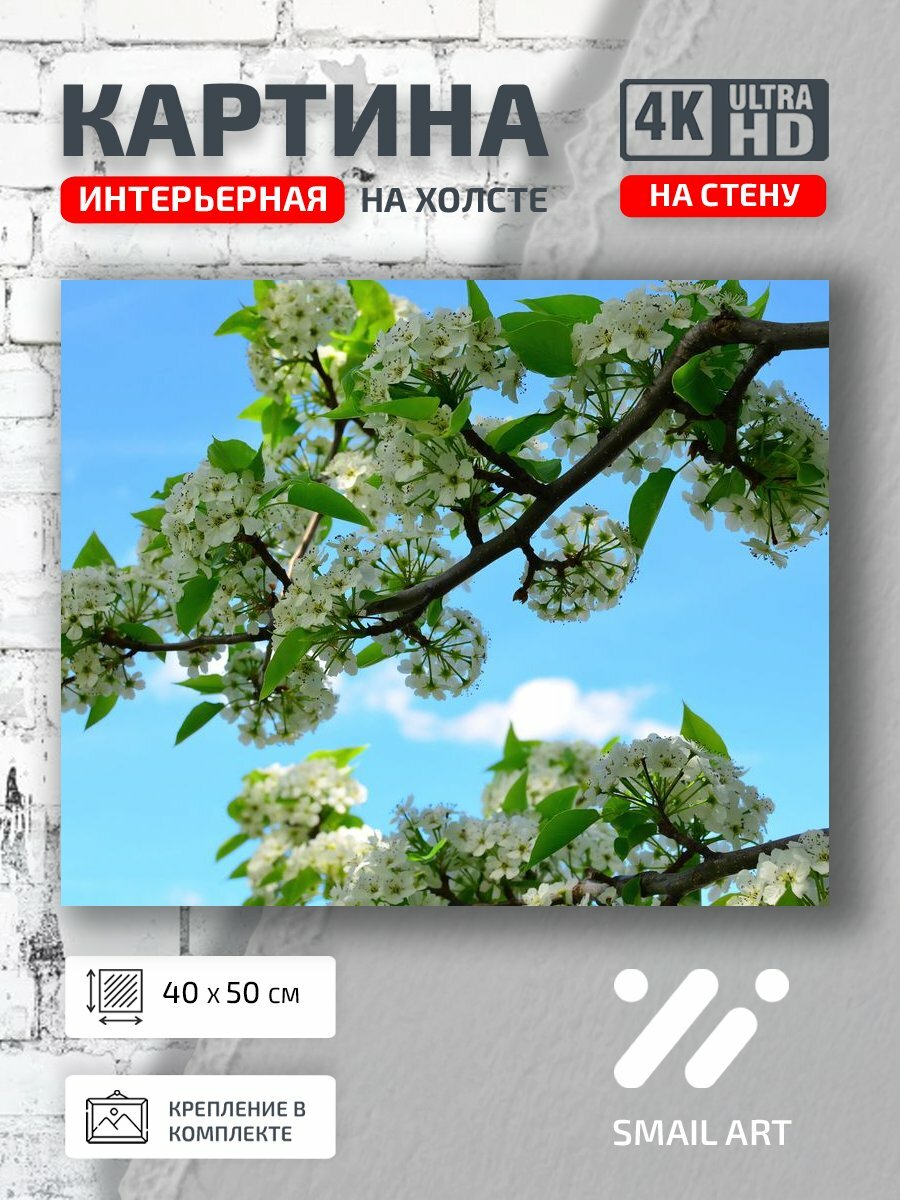 Картина на холсте интерьерная 40 на 50 на стену Деревья branch для офиса пейзаж интерьер