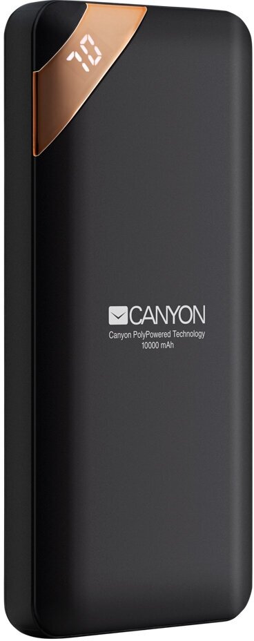 Внешний аккумулятор Canyon PB-102 10000 мAч Power Bank Black