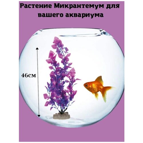 Растение Микрантемум сине-фиолетовый пластик 46см