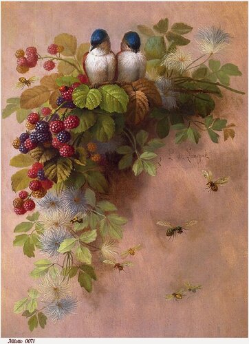 Изображение товара Декупажная рисовая карта бумага А4 салфетка 0071 птицы ежевика ягоды винтаж крафт Milotto